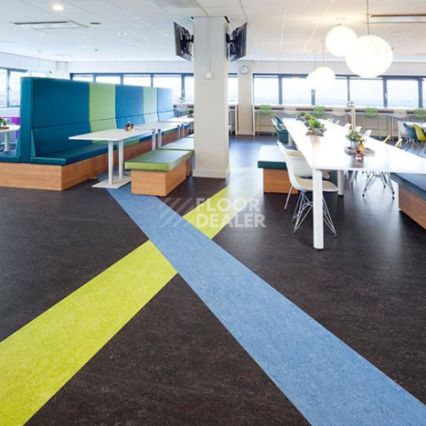 Forbo Marmoleum Decibel on Order 323635 dark bistre фото 2 | FLOORDEALER